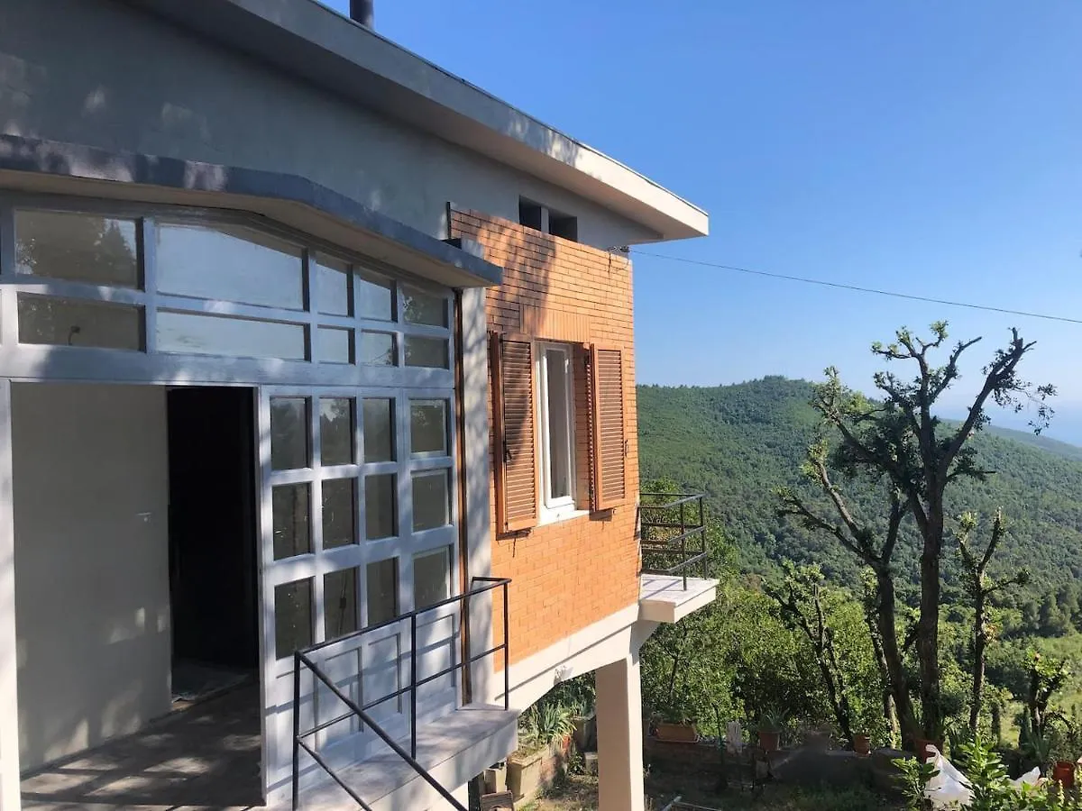 Holiday home Villa Erika Montenero  Italy