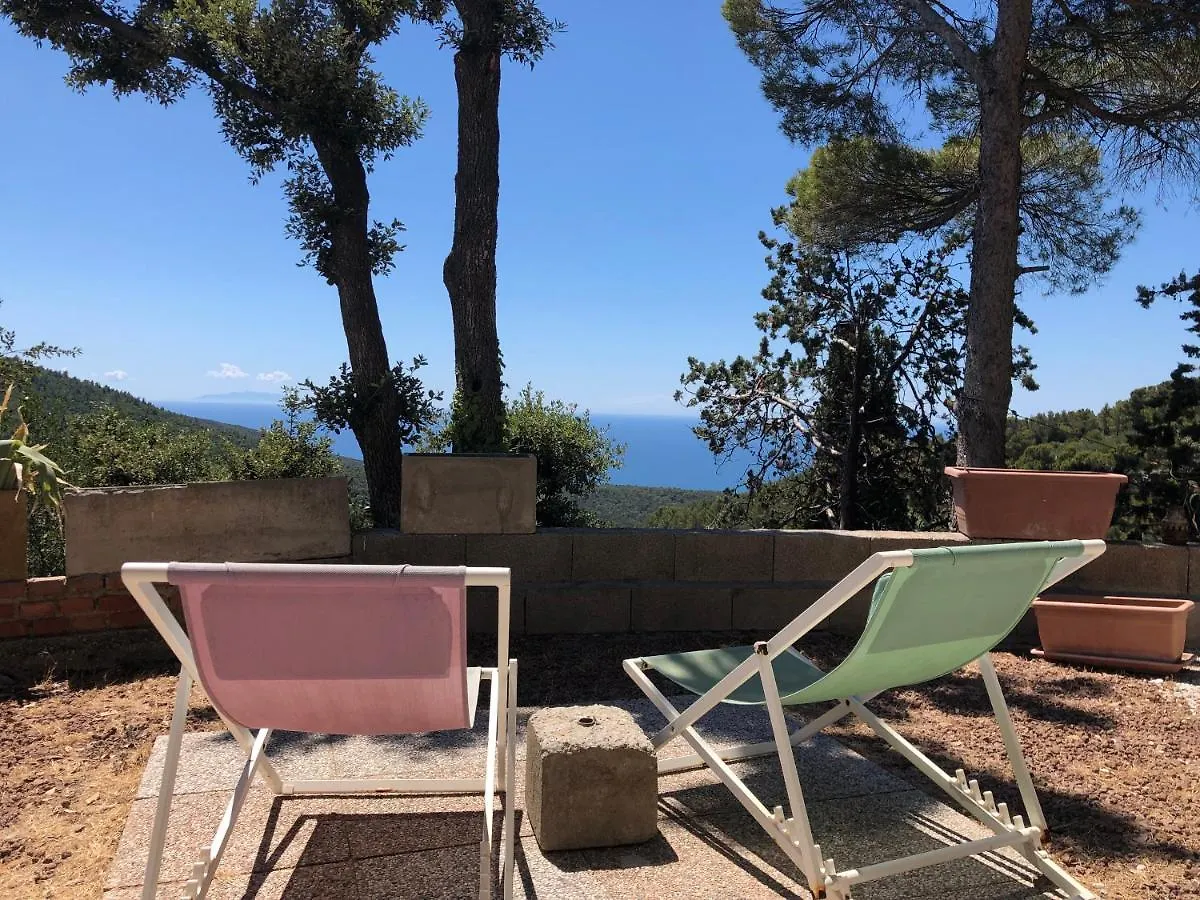 Holiday home Villa Erika Montenero