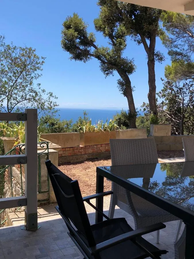Villa Erika Montenero  Italy