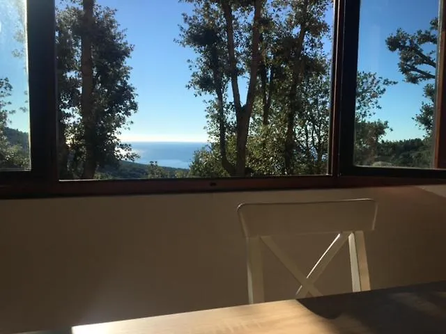 Holiday home Villa Erika Montenero